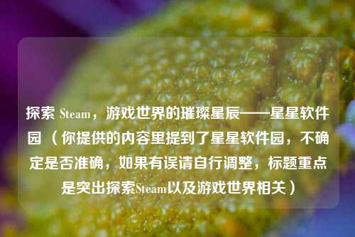 探索 Steam，游戏世界的璀璨星辰——星星软件园 （你提供的内容里提到了星星软件园，不确定是否准确，如果有误请自行调整，标题重点是突出探索Steam以及游戏世界相关）