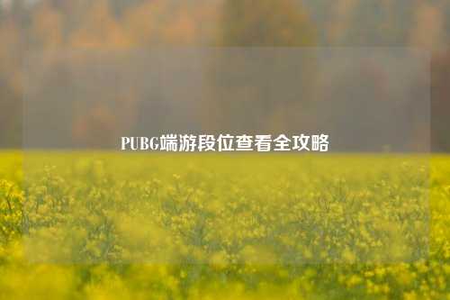 PUBG端游段位查看全攻略