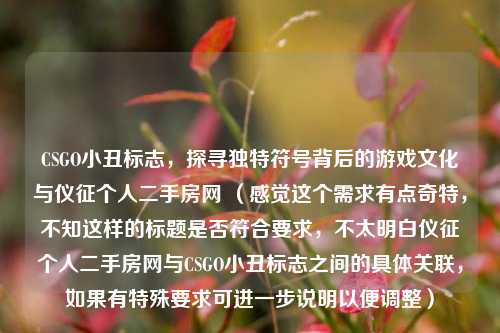 CSGO小丑标志，探寻独特符号背后的游戏文化与仪征个人二手房网 （感觉这个需求有点奇特，不知这样的标题是否符合要求，不太明白仪征个人二手房网与CSGO小丑标志之间的具体关联，如果有特殊要求可进一步说明以便调整）