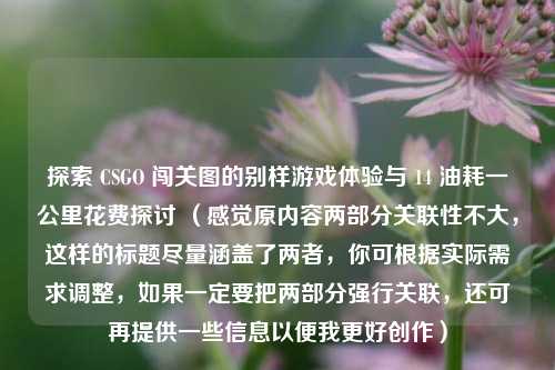 探索 CSGO 闯关图的别样游戏体验与 14 油耗一公里花费探讨 （感觉原内容两部分关联性不大，这样的标题尽量涵盖了两者，你可根据实际需求调整，如果一定要把两部分强行关联，还可再提供一些信息以便我更好创作）