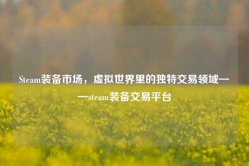 Steam装备市场，虚拟世界里的独特交易领域——steam装备交易平台