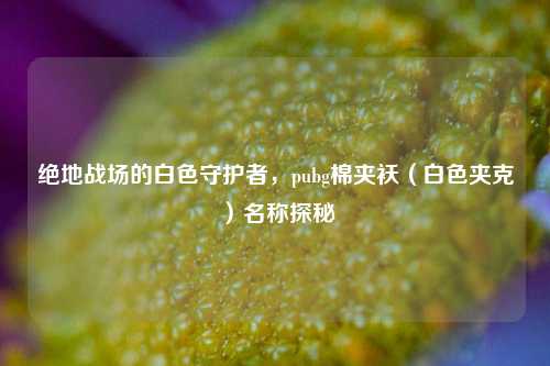 绝地战场的白色守护者,pubg棉夹袄(白色夹克)名称探秘