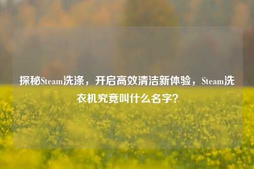 探秘Steam洗涤，开启高效清洁新体验，Steam洗衣机究竟叫什么名字？