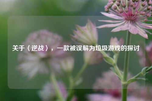 关于〈逆战〉，一款被误解为垃圾游戏的探讨
