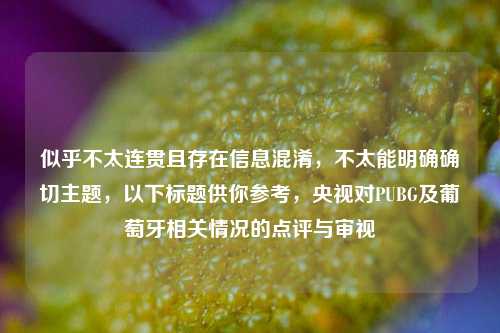 似乎不太连贯且存在信息混淆,不太能明确确切主题,以下标题供你参考,央视对PUBG及葡萄牙相关情况的点评与审视