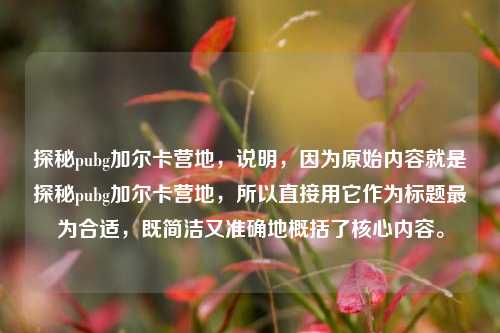 探秘pubg加尔卡营地,说明,因为原始内容就是探秘pubg加尔卡营地,所以直接用它作为标题最为合适,既简洁又准确地概括了核心内容。