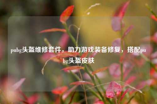 pubg头盔维修套件,助力游戏装备修复,搭配pubg头盔皮肤