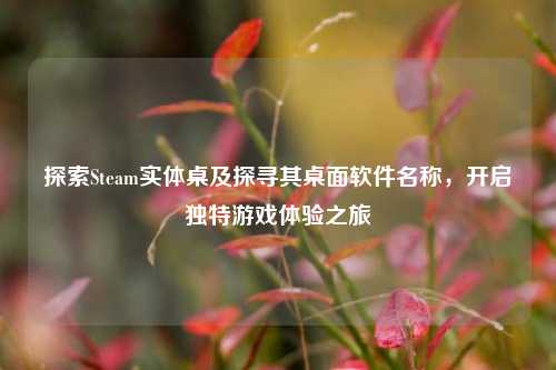 探索Steam实体桌及探寻其桌面软件名称,开启独特游戏体验之旅