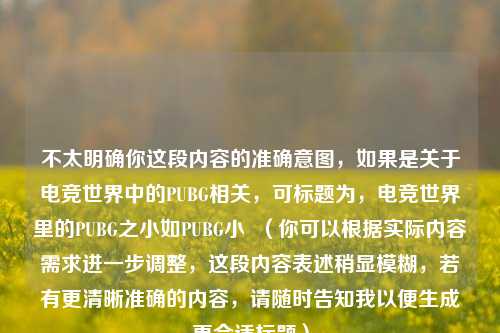 不太明确你这段内容的准确意图,如果是关于电竞世界中的PUBG相关,可标题为,电竞世界里的PUBG之小如PUBG小 (你可以根据实际内容需求进一步调整,这段内容表述稍显模糊,若有更清晰准确的内容,请随时告知我以便生成更合适标题)