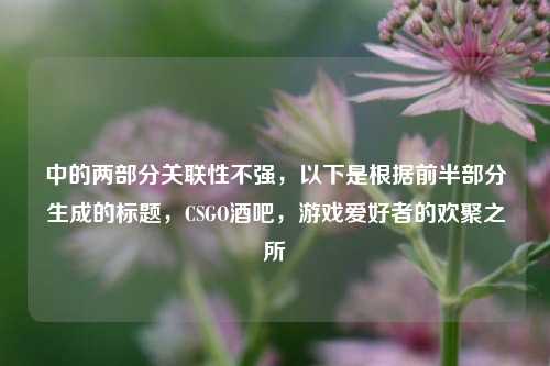 中的两部分关联性不强，以下是根据前半部分生成的标题，CSGO酒吧，游戏爱好者的欢聚之所