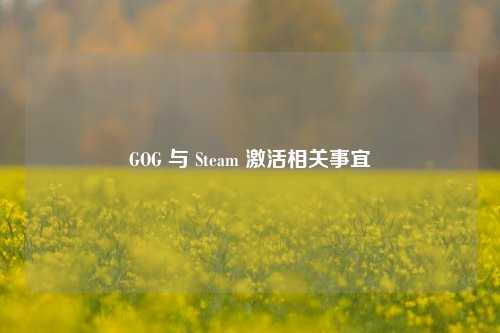 GOG 与 Steam 激活相关事宜