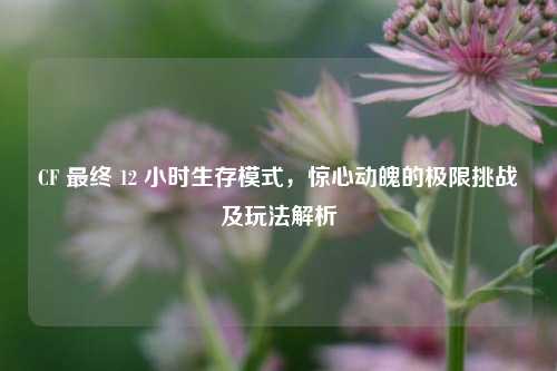 CF 最终 12 小时生存模式,惊心动魄的极限挑战及玩法解析