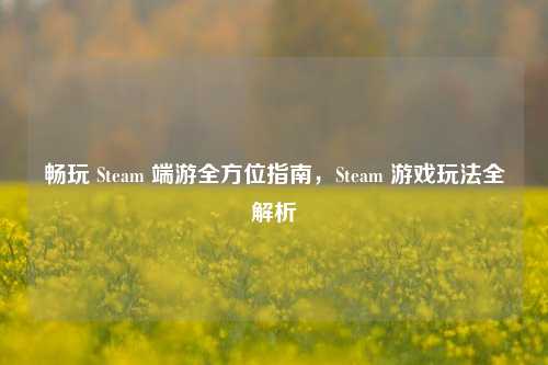 畅玩 Steam 端游全方位指南,Steam 游戏玩法全解析