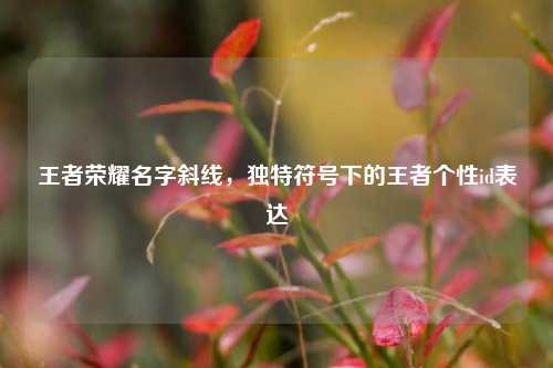 王者荣耀名字斜线，独特符号下的王者个性id表达