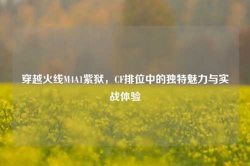 穿越火线M4A1紫狱,CF排位中的独特魅力与实战体验