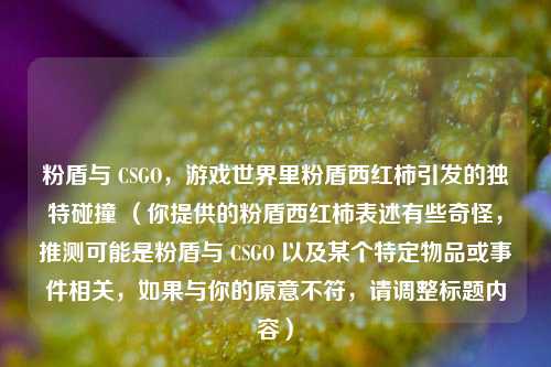 粉盾与 CSGO，游戏世界里粉盾西红柿引发的独特碰撞 （你提供的粉盾西红柿表述有些奇怪，推测可能是粉盾与 CSGO 以及某个特定物品或事件相关，如果与你的原意不符，请调整标题内容）