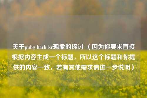 关于pubg hack kr现象的探讨 （因为你要求直接根据内容生成一个标题，所以这个标题和你提供的内容一致，若有其他需求请进一步说明）