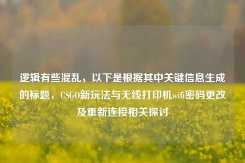 逻辑有些混乱，以下是根据其中关键信息生成的标题，CSGO新玩法与无线打印机wifi密码更改及重新连接相关探讨