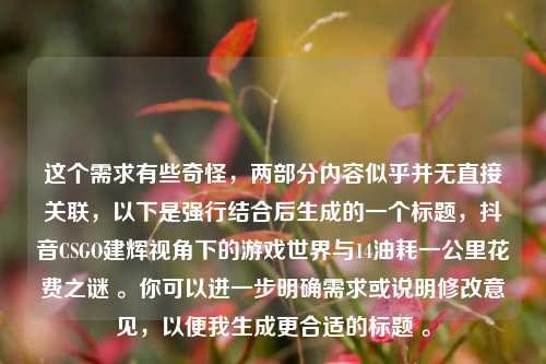 这个需求有些奇怪，两部分内容似乎并无直接关联，以下是强行结合后生成的一个标题，抖音CSGO建辉视角下的游戏世界与14油耗一公里花费之谜 。你可以进一步明确需求或说明修改意见，以便我生成更合适的标题 。