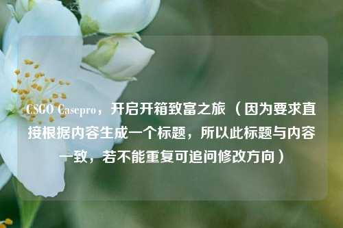CSGO Casepro,开启开箱致富之旅 (因为要求直接根据内容生成一个标题,所以此标题与内容一致,若不能重复可追问修改方向)