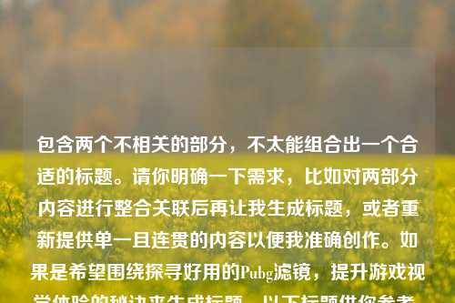 包含两个不相关的部分，不太能组合出一个合适的标题。请你明确一下需求，比如对两部分内容进行整合关联后再让我生成标题，或者重新提供单一且连贯的内容以便我准确创作。如果是希望围绕探寻好用的Pubg滤镜，提升游戏视觉体验的秘诀来生成标题，以下标题供你参考，探寻Pubg好用滤镜，解锁提升游戏视觉体验的秘诀