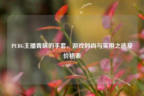 PUBG主播青睐的手套,游戏时尚与实用之选及价格表