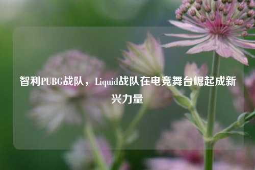 智利PUBG战队,Liquid战队在电竞舞台崛起成新兴力量