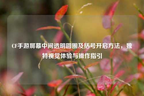 CF手游屏幕中间透明圆圈及括号开启方法,独特视觉体验与操作指引