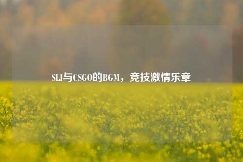 SLI与CSGO的BGM，竞技激情乐章