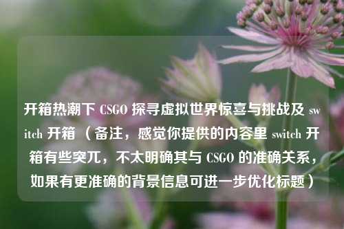 开箱热潮下 CSGO 探寻虚拟世界惊喜与挑战及 switch 开箱 （备注，感觉你提供的内容里 switch 开箱有些突兀，不太明确其与 CSGO 的准确关系，如果有更准确的背景信息可进一步优化标题）