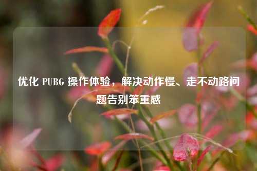 优化 PUBG 操作体验，解决动作慢、走不动路问题告别笨重感