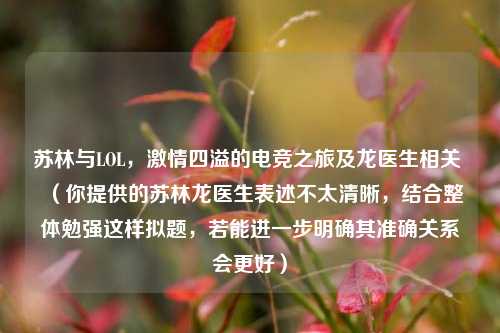 苏林与LOL,激情四溢的电竞之旅及龙医生相关 (你提供的苏林龙医生表述不太清晰,结合整体勉强这样拟题,若能进一步明确其准确关系会更好)