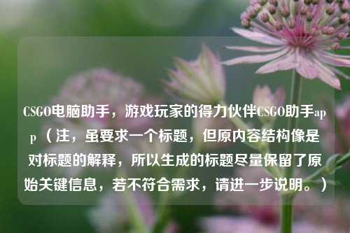 CSGO电脑助手，游戏玩家的得力伙伴CSGO助手app （注，虽要求一个标题，但原内容结构像是对标题的解释，所以生成的标题尽量保留了原始关键信息，若不符合需求，请进一步说明。）