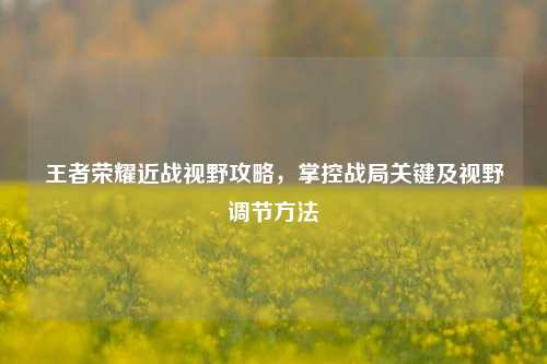 王者荣耀近战视野攻略,掌控战局关键及视野调节方法