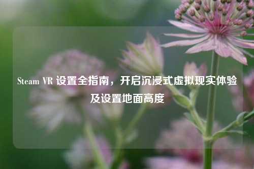 Steam VR 设置全指南，开启沉浸式虚拟现实体验及设置地面高度