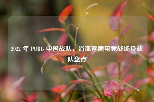 2022 年 PUBG 中国战队，浴血逐鹿电竞战场及战队盘点