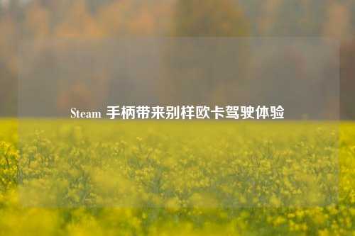 Steam 手柄带来别样欧卡驾驶体验