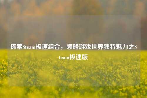 探索Steam极速组合，领略游戏世界独特魅力之Steam极速版