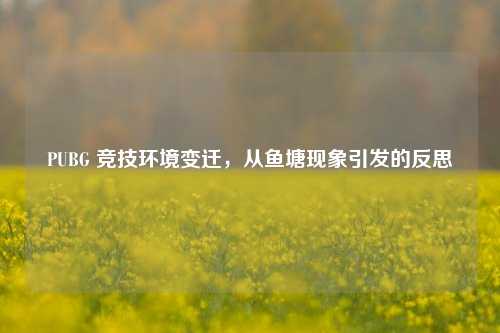 PUBG 竞技环境变迁,从鱼塘现象引发的反思