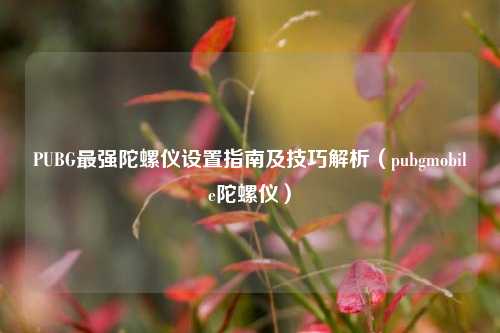 PUBG最强陀螺仪设置指南及技巧解析（pubgmobile陀螺仪）