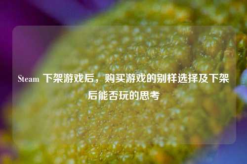 Steam 下架游戏后,购买游戏的别样选择及下架后能否玩的思考