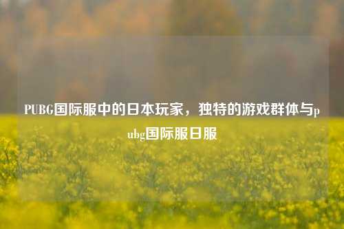 PUBG国际服中的日本玩家，独特的游戏群体与pubg国际服日服