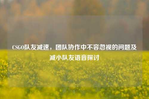 CSGO队友减速，团队协作中不容忽视的问题及减小队友语音探讨