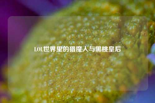 LOL世界里的猎魔人与黑桃皇后