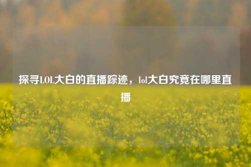 探寻LOL大白的直播踪迹，lol大白究竟在哪里直播