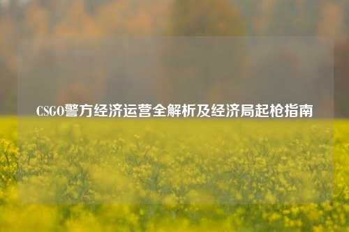 CSGO警方经济运营全解析及经济局起枪指南