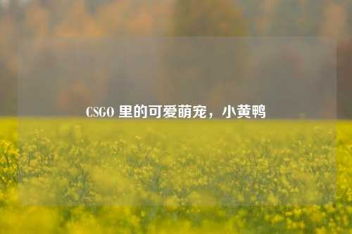 CSGO 里的可爱萌宠,小黄鸭