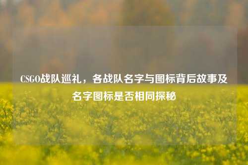 CSGO战队巡礼,各战队名字与图标背后故事及名字图标是否相同探秘