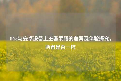 iPad与安卓设备上王者荣耀的差异及体验探究，两者是否一样
