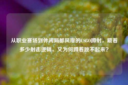 从职业赛场到休闲局都风靡的CSGO蹲射,藏着多少射击逻辑,又为何蹲着跳不起来?